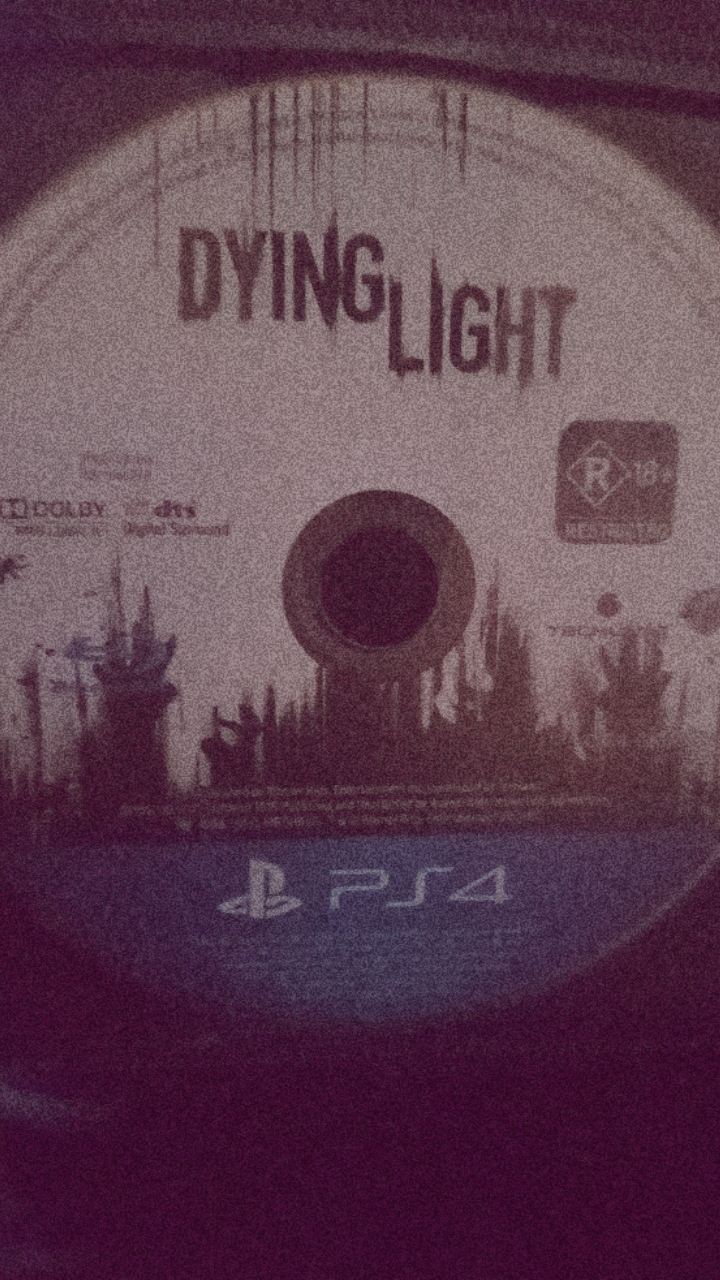 DYING LIGHT 1
